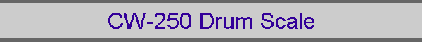 CW-250 Drum Scale