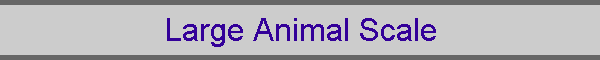 Large Animal Scale
