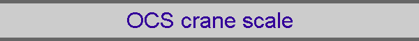 OCS crane scale