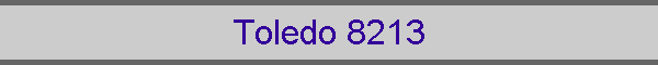 Toledo 8213