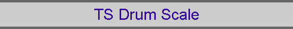 TS Drum Scale